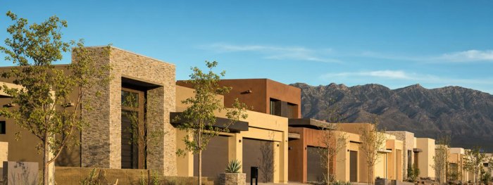 Street of new southwestern homes with the mountains behind